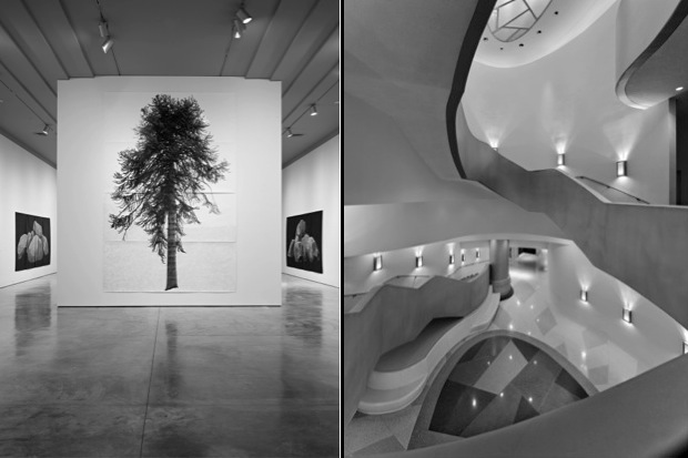 museum_tree